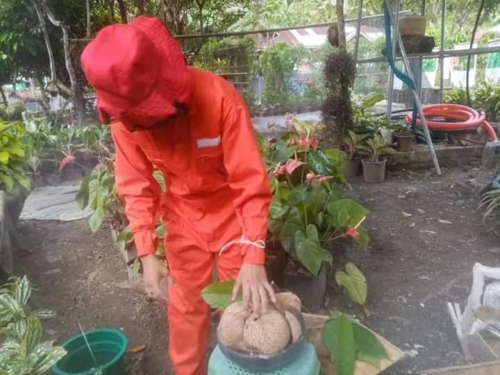 Jolits Ecogarden Hostel Batuan Exterior foto